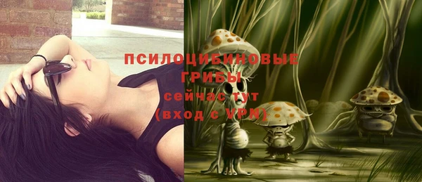спиды Верхний Тагил