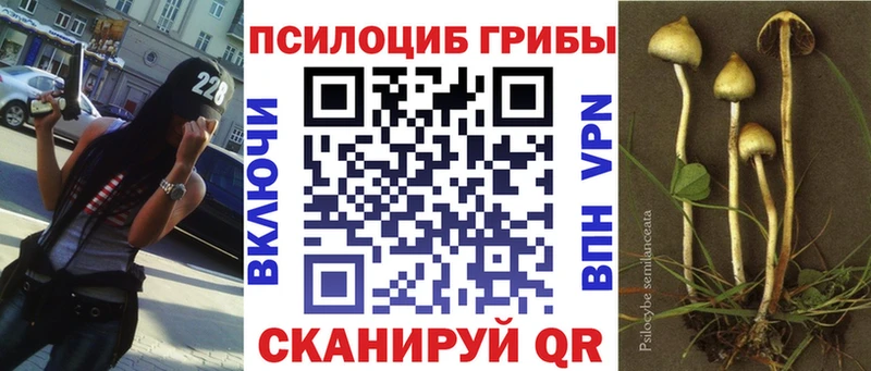 Псилоцибиновые грибы GOLDEN TEACHER  Купить  Окуловка 