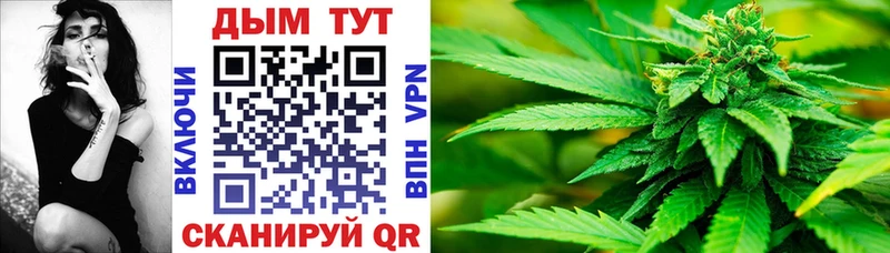 Конопля индика  Купить  Окуловка 